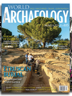 Current World Archaeology Subscription (12 issues)