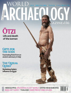 Current World Archaeology 116