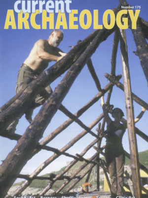 Current Archaeology 175
