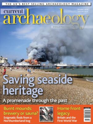 Current Archaeology 295