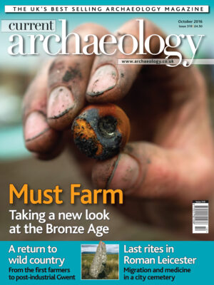 Current Archaeology 319