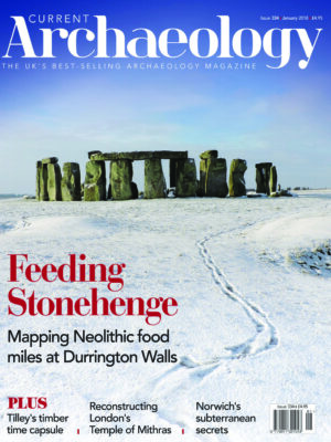 Current Archaeology 334
