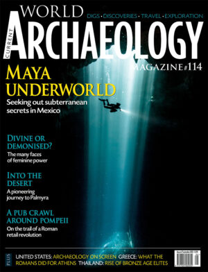 Current World Archaeology 114