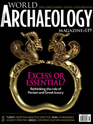 Current World Archaeology 119