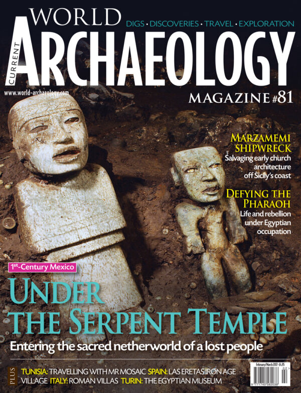 Current World Archaeology 81