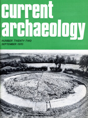 Current Archaeology 22