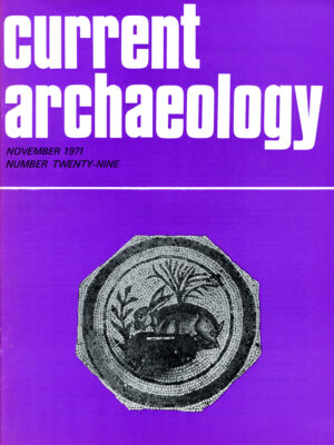 Current Archaeology 29